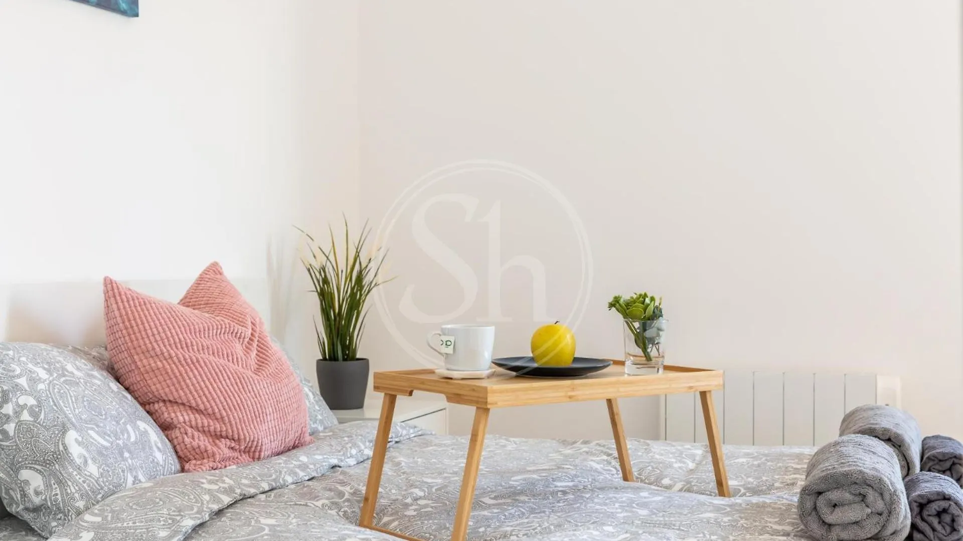 Apartment Near Sagrada Familia Barcelona
